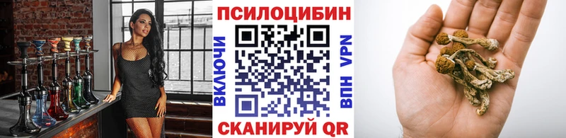 Псилоцибиновые грибы прущие грибы  Купить закладки  Гудермес 